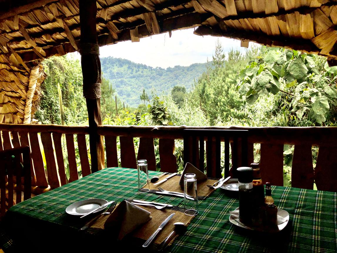 Luxury in the Jungle