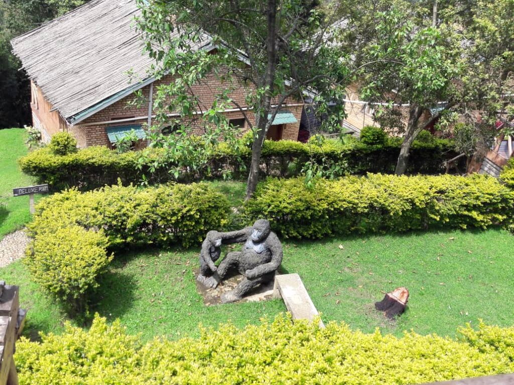 Ruhija Gorilla Lodge